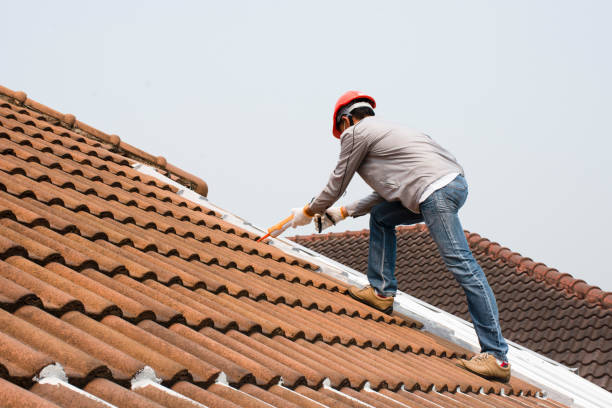 Best Roof Restoration  in Ixonia, WI